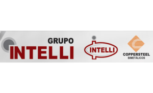 intelli.jpeg-min-1.png